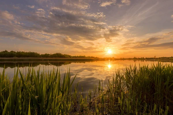 Puesta de sol sobre el estanque o lago con cielo nublado en verano y wate — Foto de Stock
