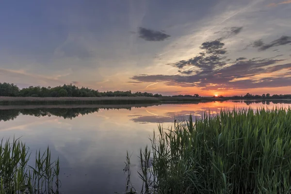 Свет над прудом или озером летом с облачным небом. — стоковое фото
