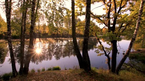 Východ slunce u rybníka s břízami za slunečného podzimního rána. — Stock video