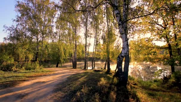 Salida del sol cerca del estanque con abedules en una soleada mañana de otoño . — Vídeos de Stock