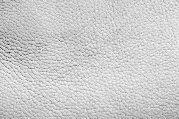 Textura de cuero blanco con espacio de copia . —  Fotos de Stock