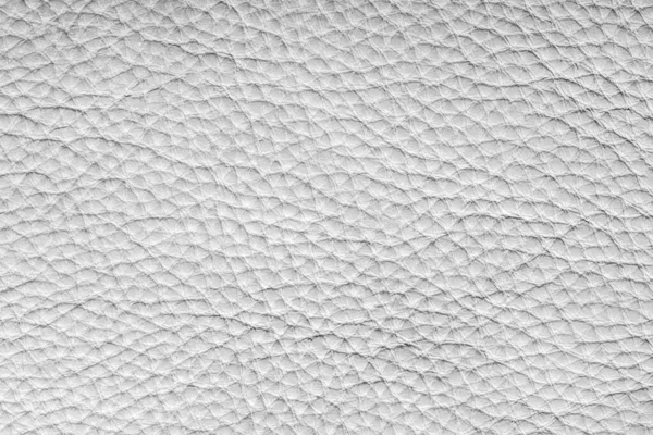 Textura de couro branco com espaço de cópia . — Fotografia de Stock