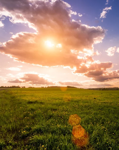 Nascer Sol Pôr Sol Campo Coberto Com Grama Verde Jovem — Fotografia de Stock