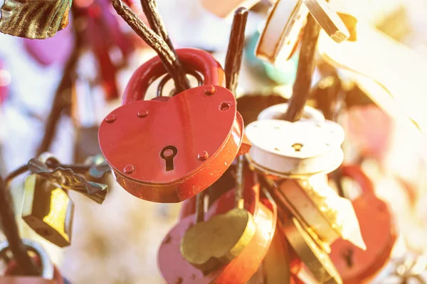 Πολλές Γαμήλιες Πολύχρωμες Κλειδαριές Ένα Δέντρο Σύμβολο Αγάπης Γάμου Και — Φωτογραφία Αρχείου