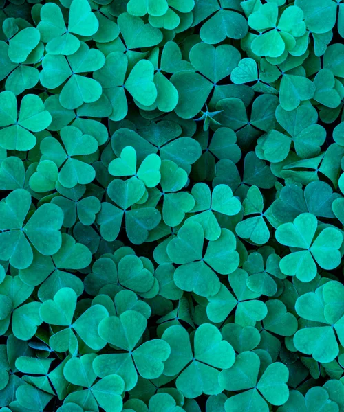 Achtergrond Met Groene Klaverbladeren Voor Saint Patrick Dag Abstract Decor — Stockfoto