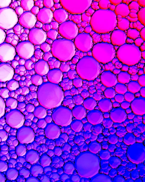 Top view on colorful drops of oil on the water. Red, blue and purple colored circles and ovals. Abstract bright background for design.