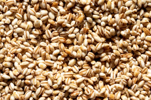 Barley Grains Background Texture Gluten Free Healthy Vegeterian Food — Stock Photo, Image
