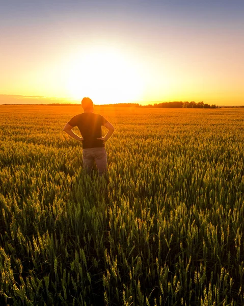A man with folded hands at the waist against the background of sunset or dawn in a rye field. The concept of success, happiness, active lifestyle and outdoor recreation.