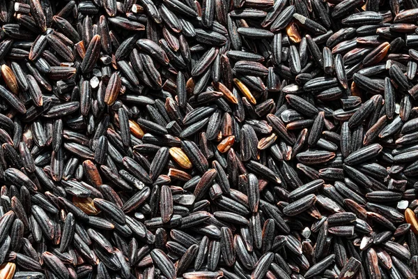 Fekete Vadrizs Gabona Háttér Vagy Textúra Gluténmentes Egészséges Vegetáriánus Ételek — Stock Fotó