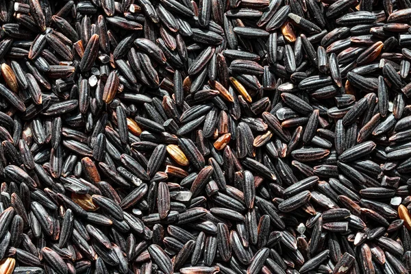 Black wild rice grains background or texture. Gluten-Free and healthy ...