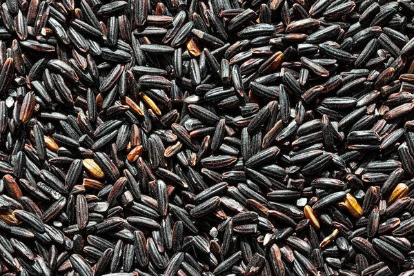 Black wild rice grains background or texture. Gluten-Free and healthy vegeterian food. Vegan nutrition component.