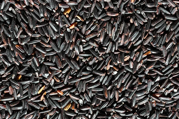 Black wild rice grains background or texture. Gluten-Free and healthy vegeterian food. Vegan nutrition component.