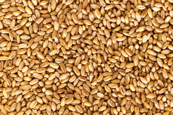 Тло Або Текстура Зерна Коричневої Пшениці Здорова Вегетаріанська Їжа Веганське — стокове фото