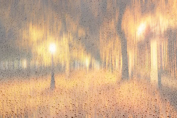 Night rainy park with yellow maple leaves, pavement and lanterns behind wet rainy glass in golden autumn. The concept of bad weather, change of season and leaf fall. Abstract blurred landscape.