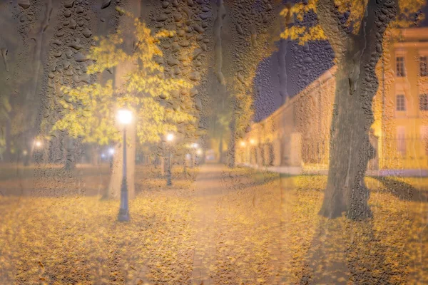 Nachtverregneter Park Mit Gelben Ahornblättern Bürgersteig Und Laternen Hinter Nassem — Stockfoto