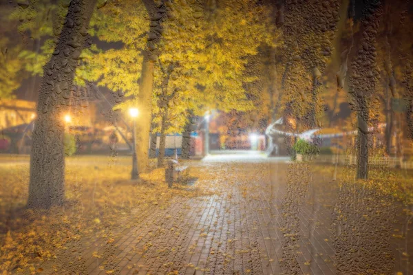 Night rainy park with yellow maple leaves, pavement and lanterns behind wet rainy glass in golden autumn. The concept of bad weather, change of season and leaf fall. Abstract blurred landscape.