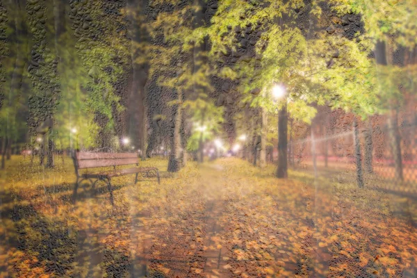 黄色のカエデの葉 舗装や黄金の秋に濡れた雨のガラスの後ろに提灯と夜の雨の公園 悪天候 季節や葉の秋の概念 アブストラクトぼやけた風景 — ストック写真