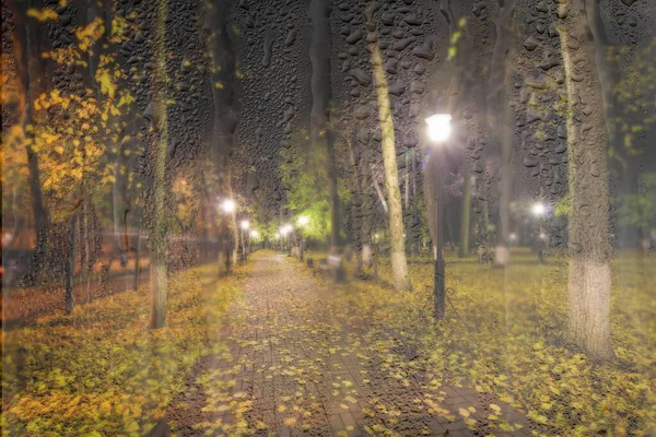 Night rainy park with yellow maple leaves, pavement and lanterns behind wet rainy glass in golden autumn. The concept of bad weather, change of season and leaf fall. Abstract blurred landscape.