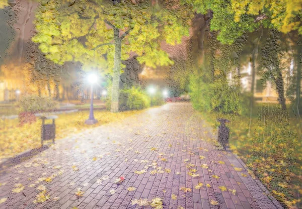Parque Chuvoso Noturno Com Folhas Amarelas Bordo Pavimento Lanternas Atrás — Fotografia de Stock