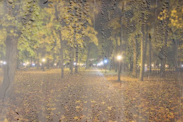 Νυχτερινό Βροχερό Πάρκο Κίτρινα Φύλλα Σφενδάμου Πεζοδρόμιο Και Φανάρια Πίσω — Φωτογραφία Αρχείου