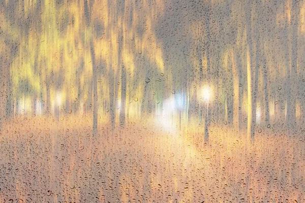 Night rainy park with yellow maple leaves, pavement and lanterns behind wet rainy glass in golden autumn. The concept of bad weather, change of season and leaf fall. Abstract blurred landscape.