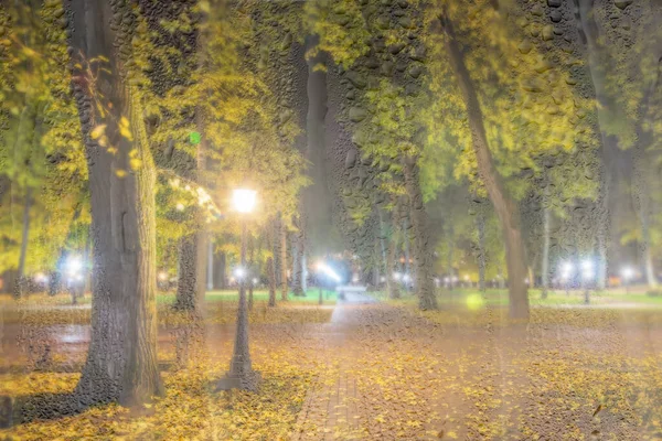 Nachtverregneter Park Mit Gelben Ahornblättern Bürgersteig Und Laternen Hinter Nassem — Stockfoto