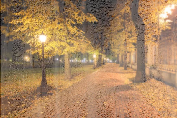 Night rainy park with yellow maple leaves, pavement and lanterns behind wet rainy glass in golden autumn. The concept of bad weather, change of season and leaf fall. Abstract blurred landscape.