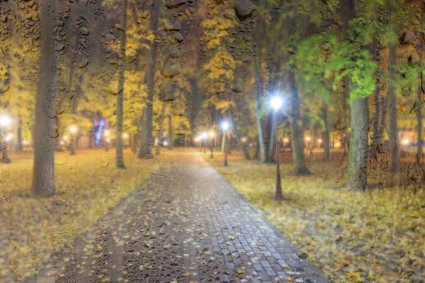 Nattlig Regnig Park Med Gula Lönnlöv Asfalt Och Lyktor Bakom — Stockfoto