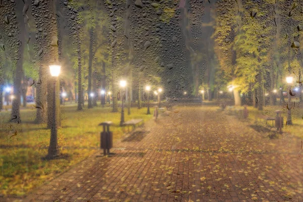 Nachtverregneter Park Mit Gelben Ahornblättern Bürgersteig Und Laternen Hinter Nassem — Stockfoto