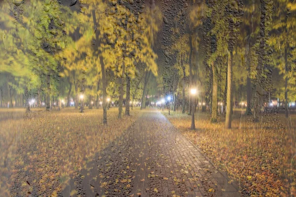 Night rainy park with yellow maple leaves, pavement and lanterns behind wet rainy glass in golden autumn. The concept of bad weather, change of season and leaf fall. Abstract blurred landscape.