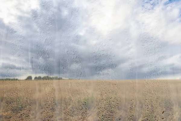 Agrarisch Veld Regen Met Wolken Lucht Achter Nat Glas Gouden — Stockfoto