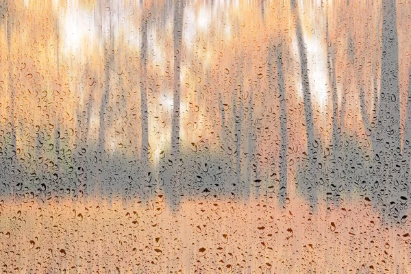 黄枫叶 人行道和长椅在金秋湿淋淋的玻璃后面的日光公园 坏天气 季节变化和落叶的概念 抽象模糊的景观 — 图库照片