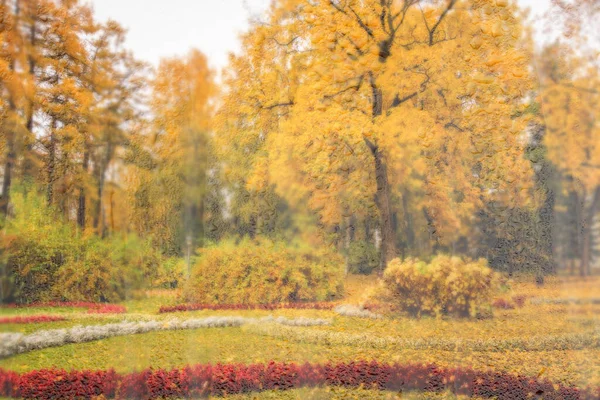 Tagesparkplatz Mit Gelben Ahornblättern Bürgersteig Und Bänken Hinter Nassem Regenglas — Stockfoto