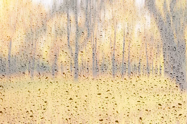 Дневной Парк Желтыми Кленовыми Листьями Тротуарами Скамейками Влажным Дождливым Стеклом — стоковое фото