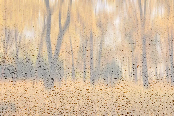 黄枫叶 人行道和长椅在金秋湿淋淋的玻璃后面的日光公园 坏天气 季节变化和落叶的概念 抽象模糊的景观 — 图库照片