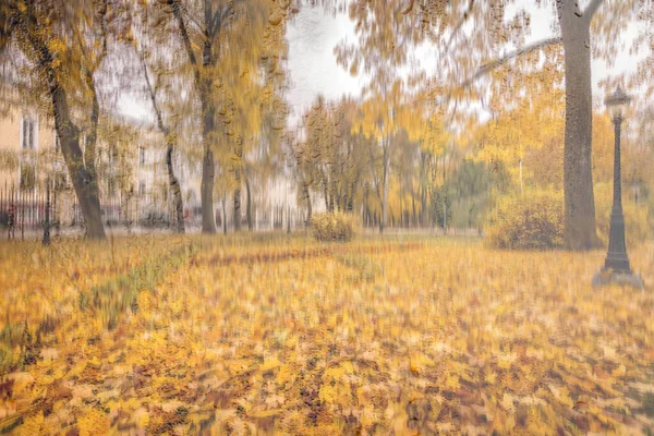 黄色のカエデの葉 舗装や黄金の秋に濡れた雨のガラスの背後にベンチを持つ日公園 悪天候 季節や葉の秋の概念 アブストラクトぼやけた風景 — ストック写真