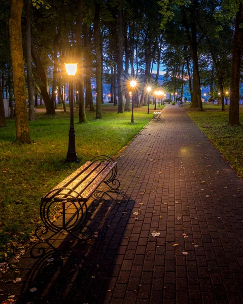 在初秋的时候 一个由石子路 落叶和长椅组成的灯笼点亮的夜间公园 城市景观 — 图库照片