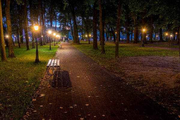 Ночной Парк Освещаемый Фонарями Каменным Тротуаром Деревьями Опавшими Листьями Скамейками — стоковое фото