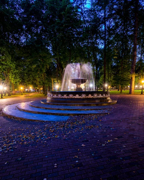 Uma Fonte Com Córregos Borrados Água Parque Noturno Iluminado Por — Fotografia de Stock