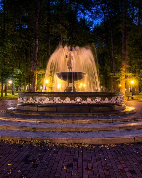 Μια Βρύση Θολή Ρυάκια Νερού Ένα Νυχτερινό Πάρκο Φωτίζεται Από — Φωτογραφία Αρχείου