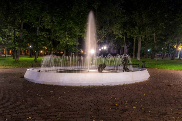 Gece Parkındaki Bulanık Akıntılarıyla Dolu Taştan Kaldırımlar Ağaçlar Banklarla Aydınlatılmış — Stok fotoğraf