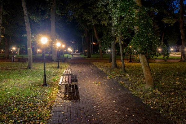 Parque Nocturno Iluminado Por Farolillos Con Pavimento Piedra Árboles Hojas — Foto de Stock