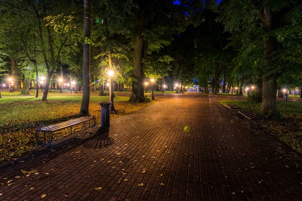 在初秋的时候 一个由石子路 落叶和长椅组成的灯笼点亮的夜间公园 城市景观 — 图库照片