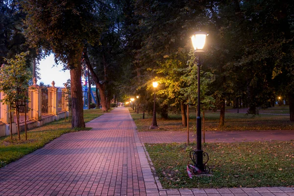 Night Park Lit Lanterns Stone Pavement Trees Fallen Leaves Benches — Stock Photo, Image