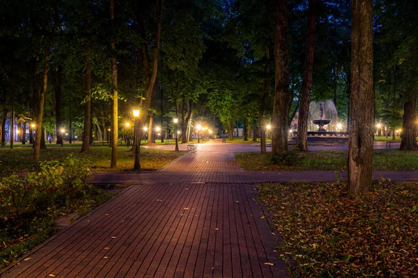 A night park lit by lanterns with a stone pavement, trees, fallen leaves and benches in early autumn. Cityscape.