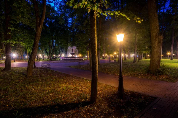 Noční Park Osvětlený Lucernami Kamennou Dlažbou Stromy Spadanými Listy Lavicemi — Stock fotografie