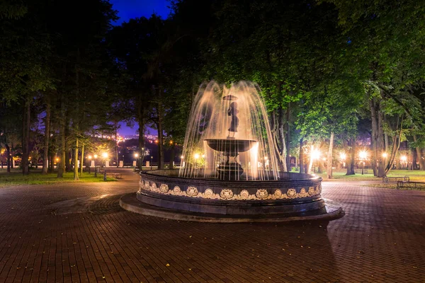 Une Fontaine Avec Des Ruisseaux Eau Brouillés Dans Parc Nocturne — Photo