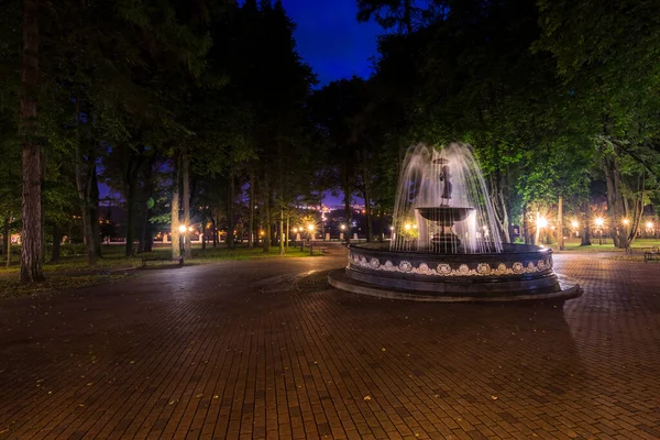 Une Fontaine Avec Des Ruisseaux Eau Brouillés Dans Parc Nocturne — Photo