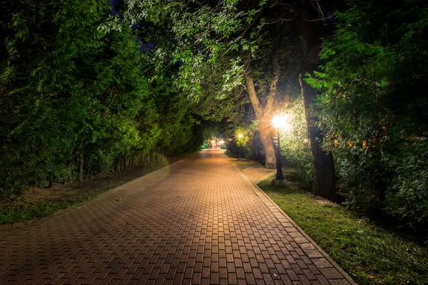 初秋には石畳や木々 落ち葉やベンチが置かれたランタンに照らされた夜の公園 都市景観 — ストック写真