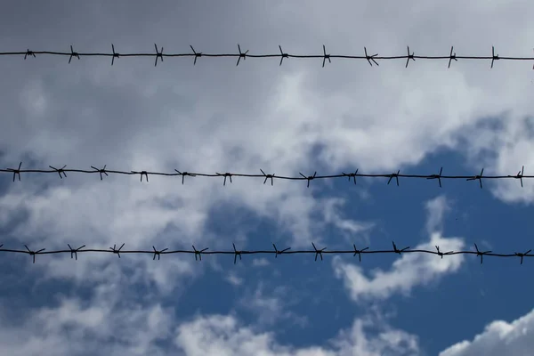 Arame Farpado Fundo Céu Nublado Conceito Detenção Encerramento Fronteiras Prisão — Fotografia de Stock